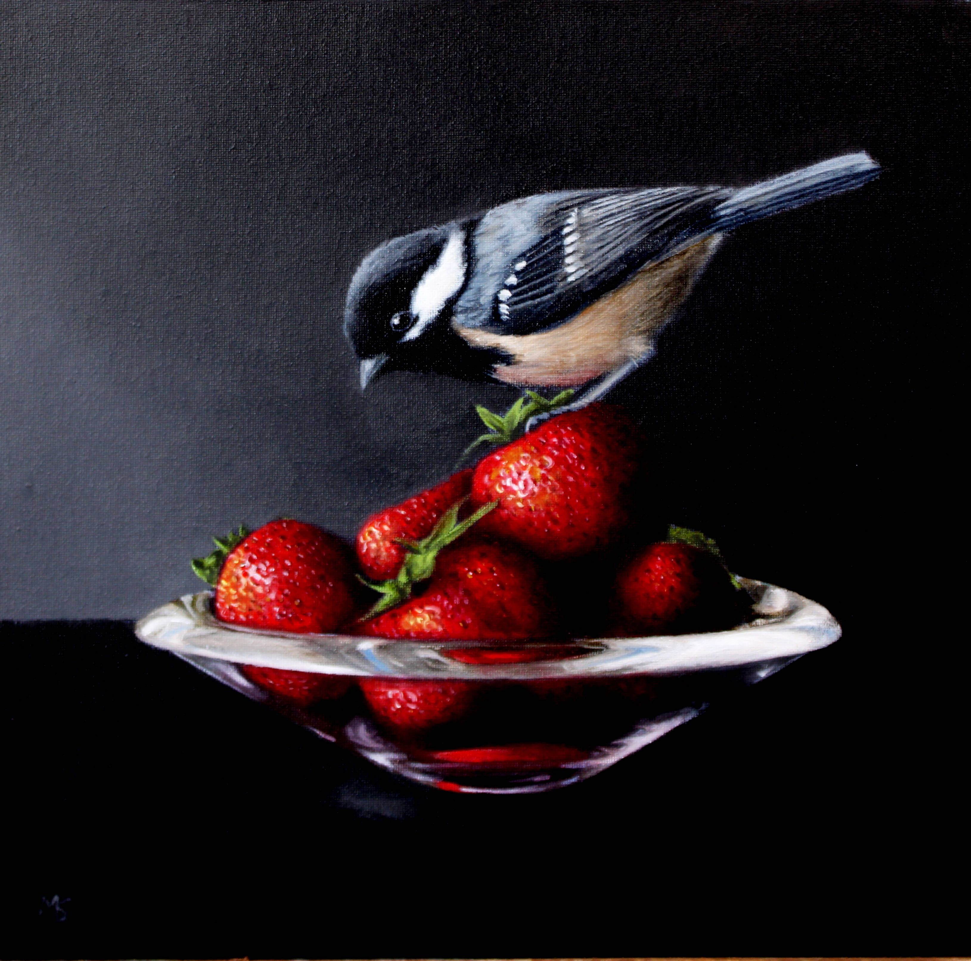 Paint Birds & Still Life in Oils